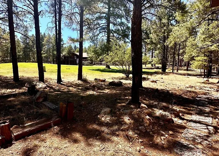 Pines And Plaid Hideaway Ferienhaus *